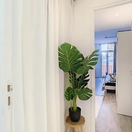 L'horloge I - - 15 Min Palais - Apartment Cannes